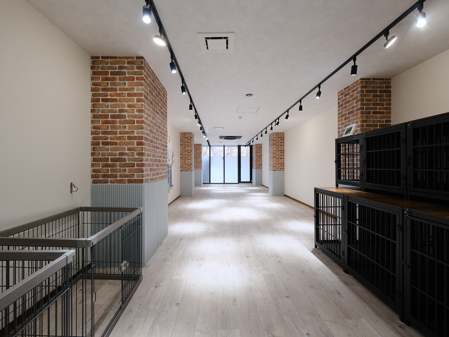 School of Dog 大阪靭公園店
